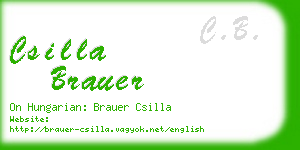 csilla brauer business card